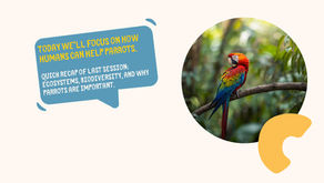 Kids can be parrot conservationists too