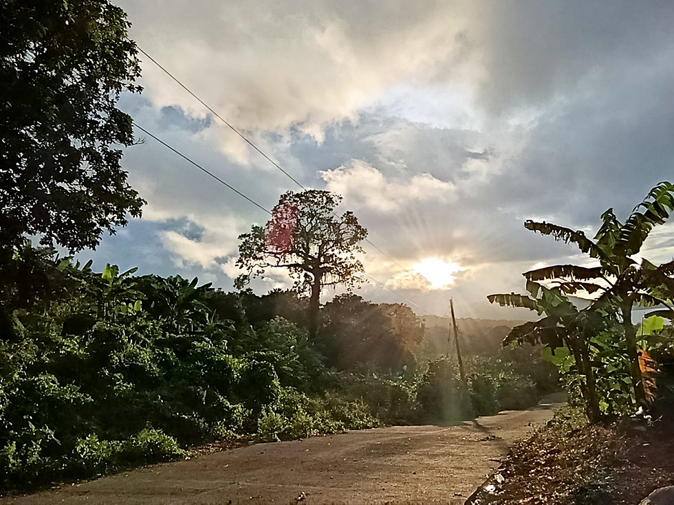 Sunrise during a parrot count on Ometepe Island