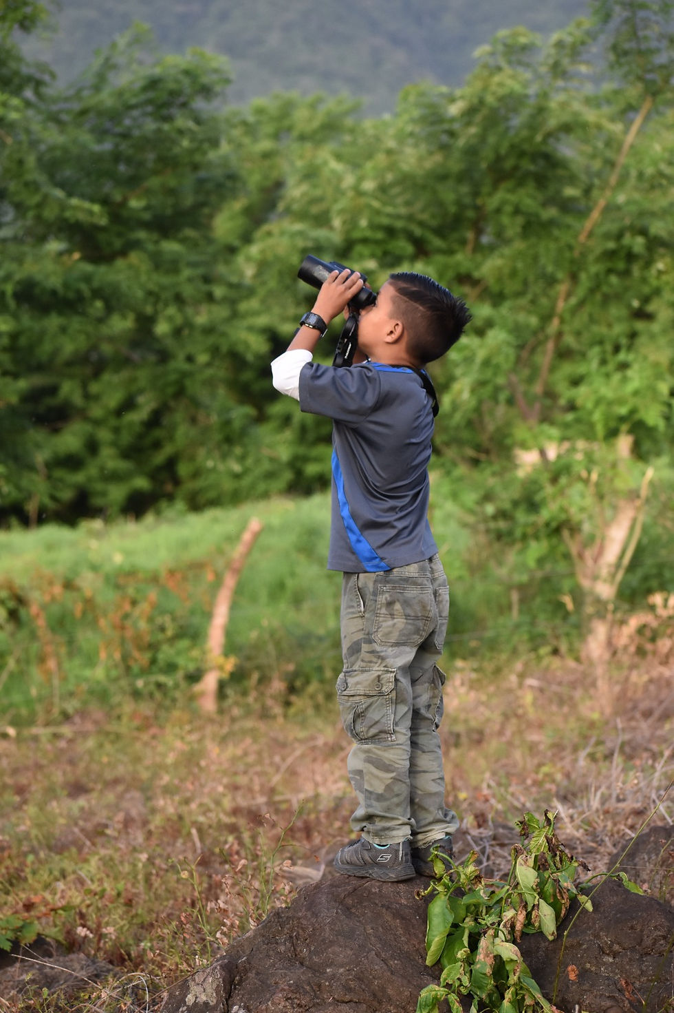A young boy with binoculars counting parrots
