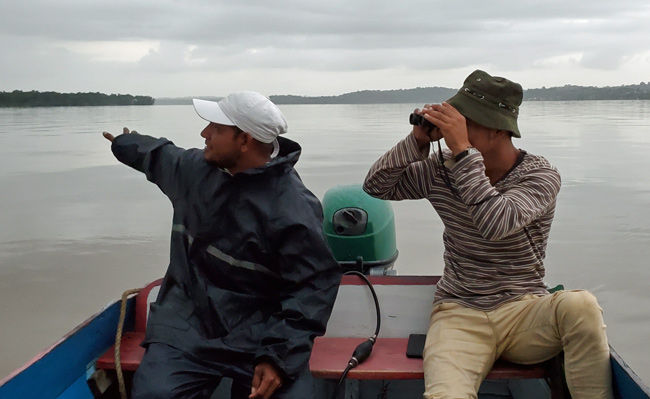 The staff at Sloth Island Resort are wonderful boat captains and birders as well
