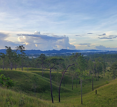 Honduras Tablitas 2022.jpg