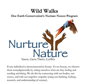 Wild Walk Guide FINAL pg1.jpg