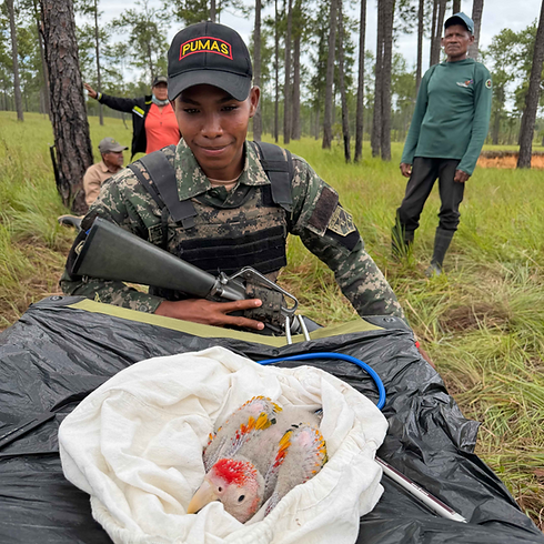 Honduras soldier w macaw chick 4-29-26 compressed_edited.png