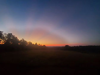 20250924_065449.jpg