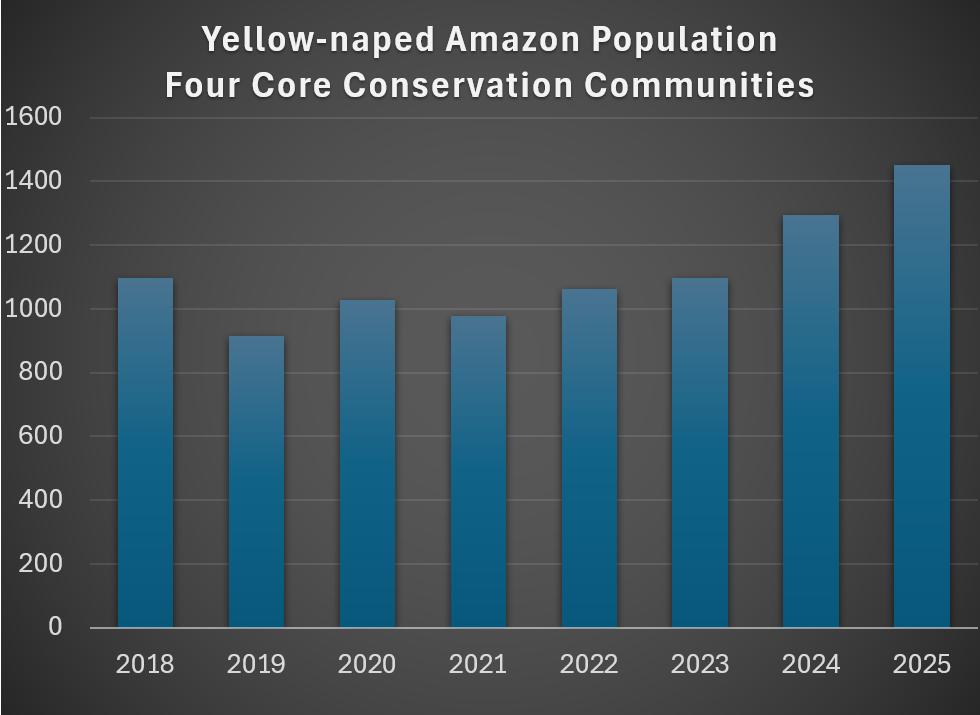 A graph showing eight years of data in our four core conservation communities in Nicaragua. It appears that there is trend of increasing numbers of parrots.
