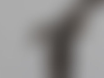 A peregrine falcon flying