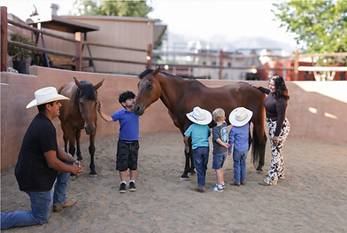 Various children petting two horses as adults chaperone them