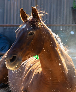 WAW_0028_edited.jpg