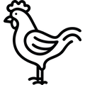 <a href="https://www.vecteezy.com/free-png/chicken">Chicken PNGs by Vecteezy</a>