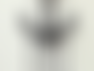 O Posicionamento Ancorado