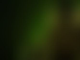 PSICO: A OBRA-PRIMA DO TERROR BASEADA EM UMA HISTÓRIA REAL