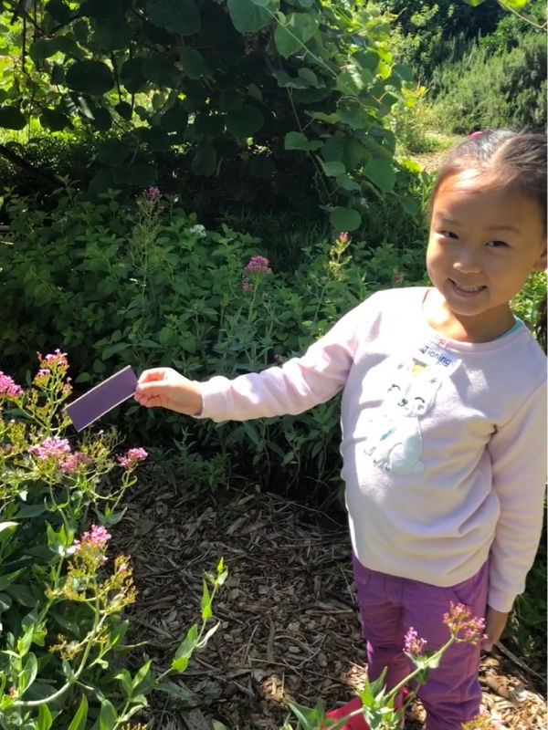 UCD - Kids in Garden Spring Field Trip