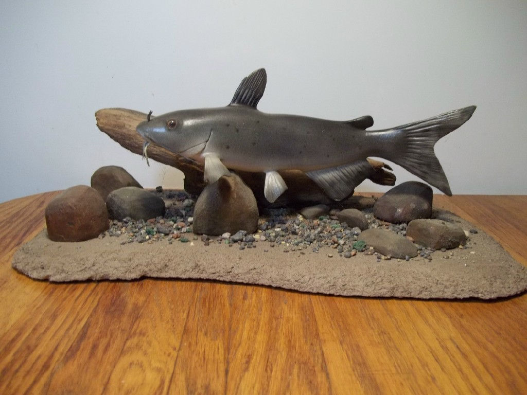 Channel Catfish