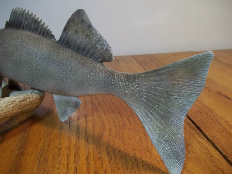 Thumbnail: Sauger Detail