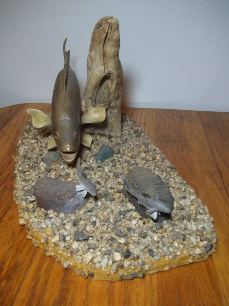 Thumbnail: Smallmouth Bass Top View