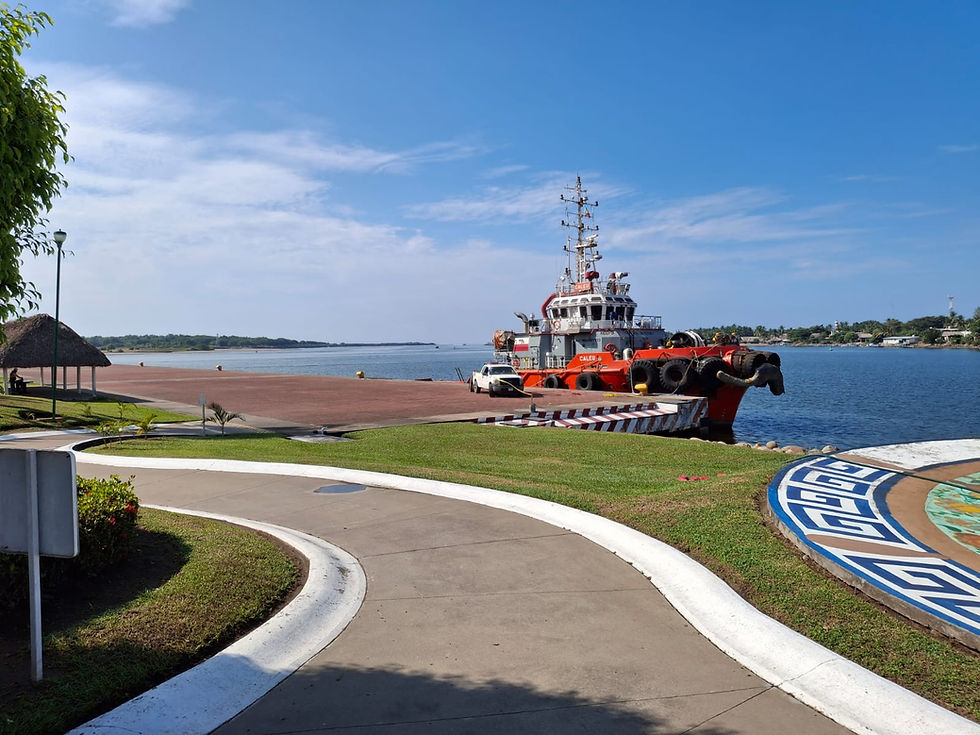 WhatsApp Image 2026-02-14 at 22.08.25.jpeg