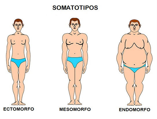 SOMATOTIPIA