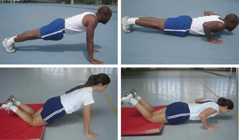 TESTE NEUROMUSCULAR