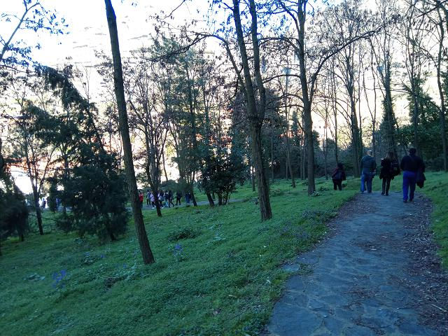 IMG_20190307_113310