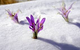 Winter, Get Thee Behind Me