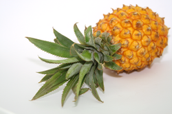 Piña Baby