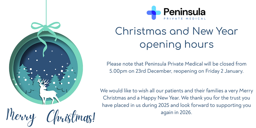 Christmas Footer.png