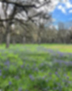 Bush Park Camas 2024