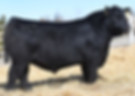 Sterling Pacific 904.jpg