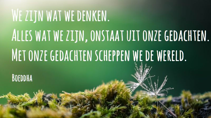 Ik denk, dus ik ben…! Ik denk, dus ik ben…!