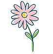flor-1_edited.png