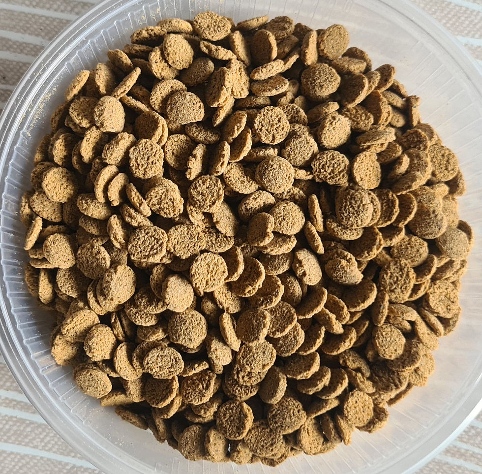 Thumbnail: algenwafels, voedertabletten, kleeftabletten voor discus en pleco