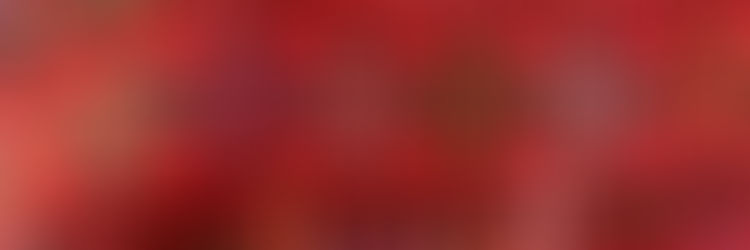 WORLD DAY OF PRAYER 1st March, 2024