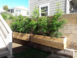 helix website draft 17