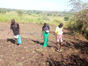 Cultivating Success: Philip's Strategic Approach to Agriculture