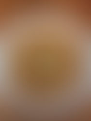 Karen's Bake off Challenge Week 6: Baklava