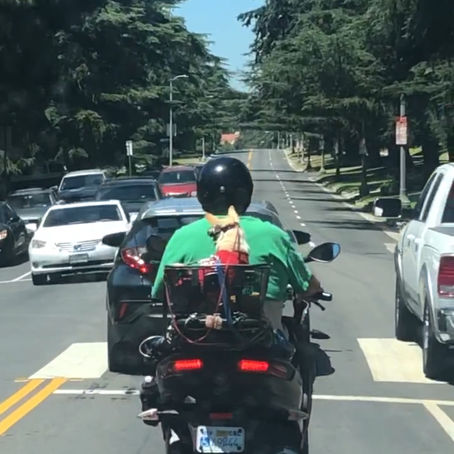 Commute