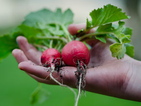 Definition of Branding in Agriculture