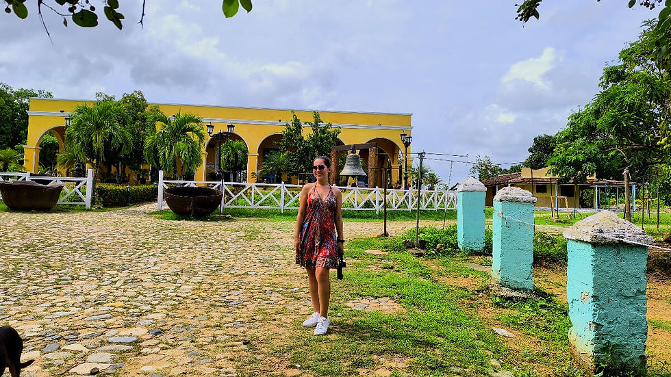 Vale de los Ingenios, Trinidad