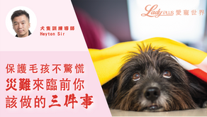 保護毛孩不驚慌 災難來臨前你該做的三件事 | Lady Plus