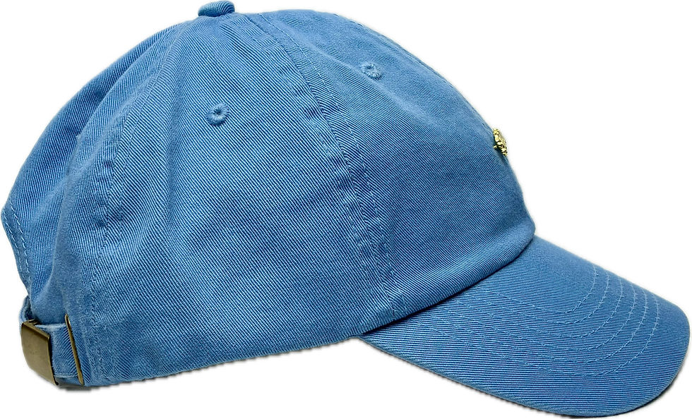 Thumbnail: Carolina Blue Pin Dad Hat (Gold Script Pin)