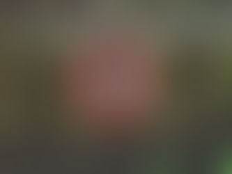 מקלחת צרפתית