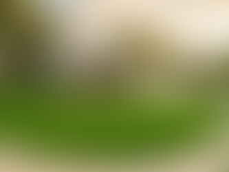 Cost to Install Sod for Homes Preparing to Sell in Rochester, MN