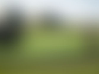 Hydroseeding After Septic Installation in Rochester MN