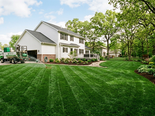 Sod vs Hydroseeding Cost in Rochester, MN: A Complete Guide for Homeowners