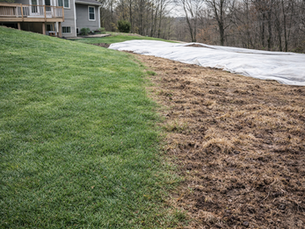 How to Prevent Hydroseed Failure in Freeze-Thaw Cycles in Rochester MN