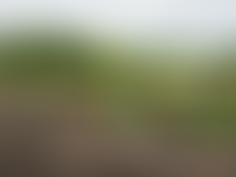 How Much Does Sod Cost for Mankato Golf Club?