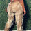 Thumbnail: Camo Sets