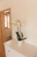 Orchidee
