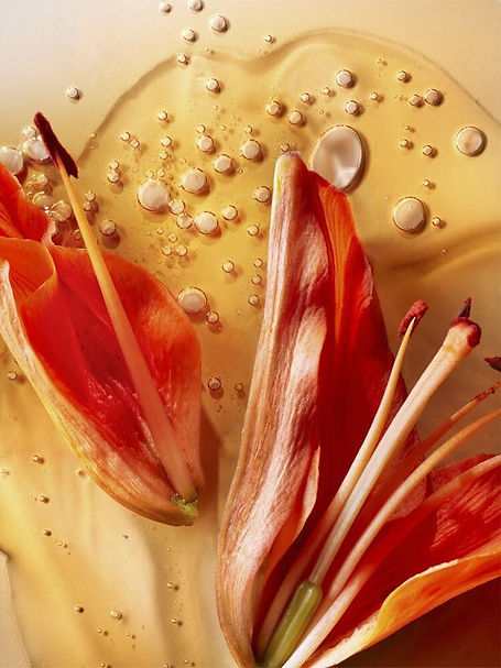 from _ Dylan Griffin Photography.jpg