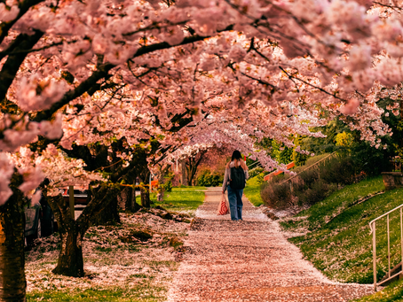 Emotional Transitions and Seasonal Shifts